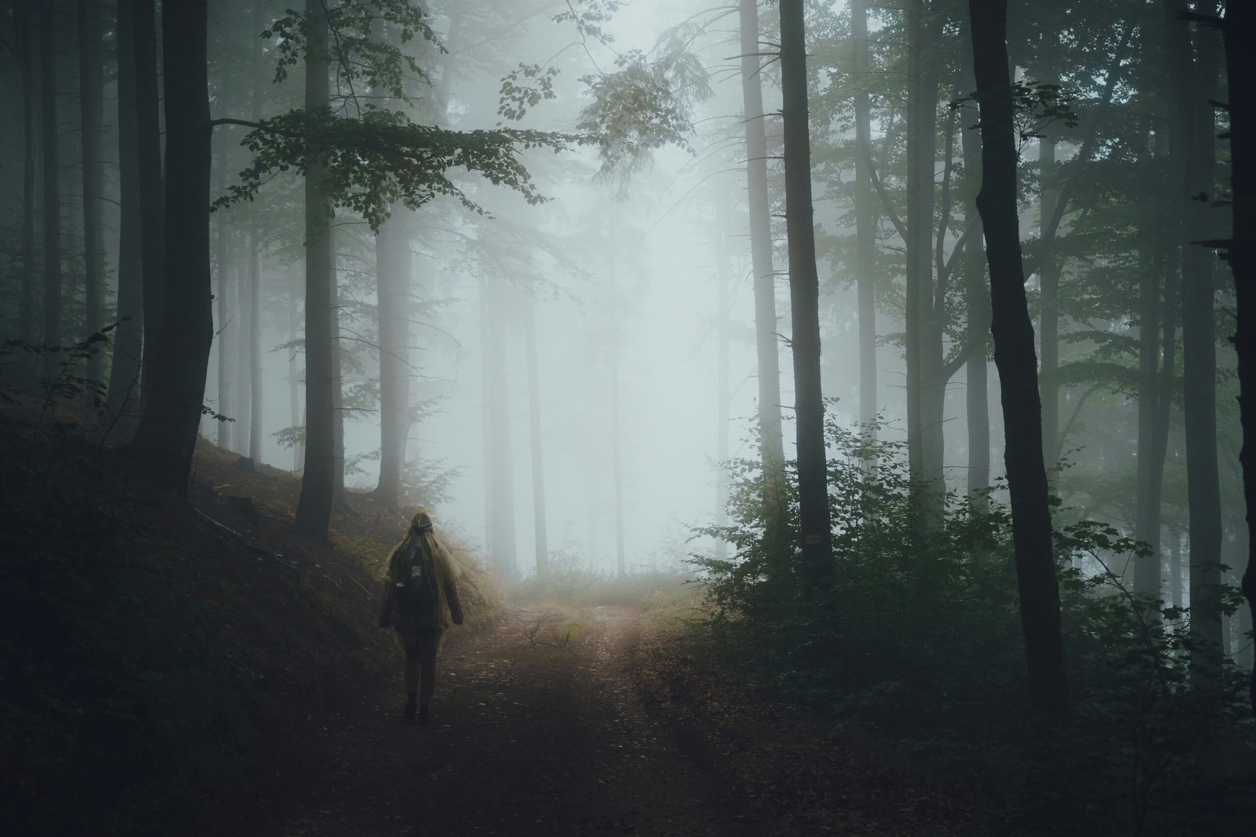 https://vyta-life.ch/wp-content/uploads/2025/04/dominik-chelstowski-HXN1KCzyoFE-unsplash-scaled.jpg